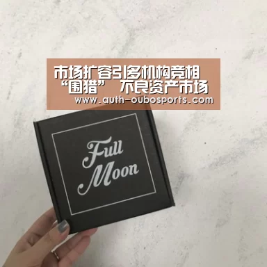 市场扩容引多机构竞相“围猎” 不良资产市场暗藏风险|欧博游戏(图2) 欧博