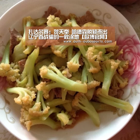 扎达尔赛:贺天举 哈德森脱颖而出 辽宁首战输的一败涂地【欧博官网】(图2) 欧博官网