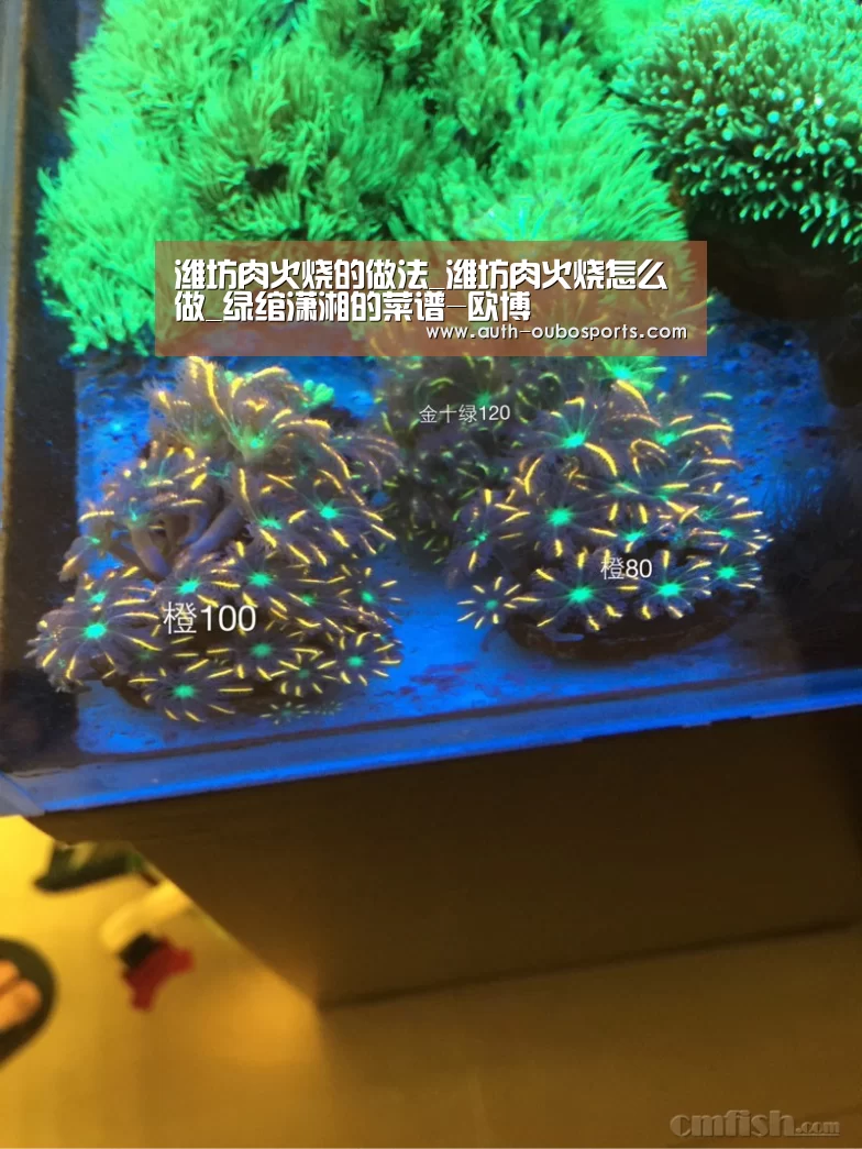 潍坊肉火烧的做法_潍坊肉火烧怎么做_绿绾潇湘的菜谱-欧博(图2) 欧博