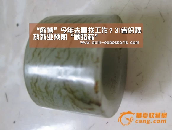 “欧博”今年去哪找工作?31省份释放就业预期“硬指标”(图3) 欧博官网