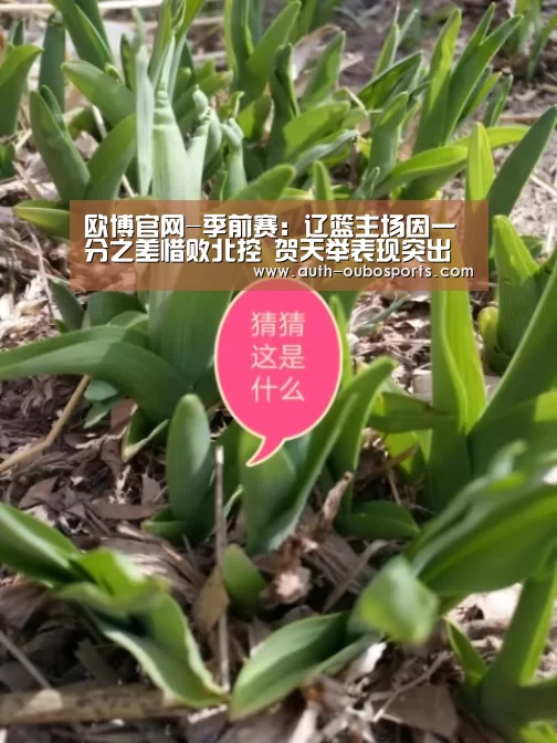 欧博官网-季前赛:辽篮主场因一分之差惜败北控 贺天举表现突出(图3) 欧博